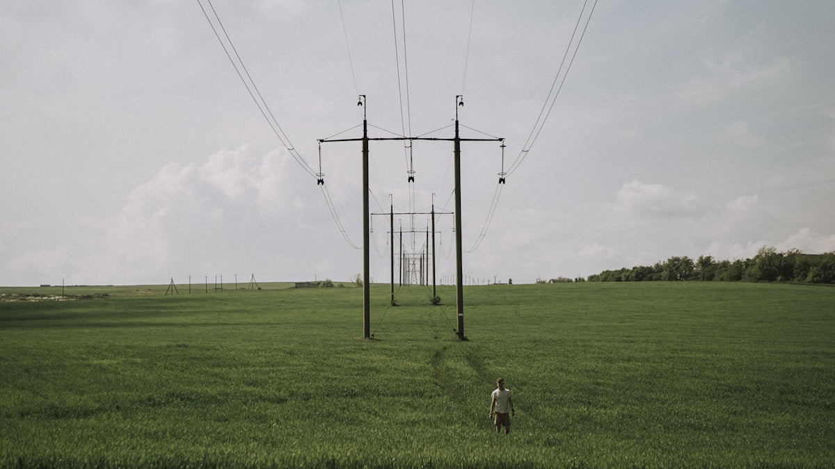 green grass field