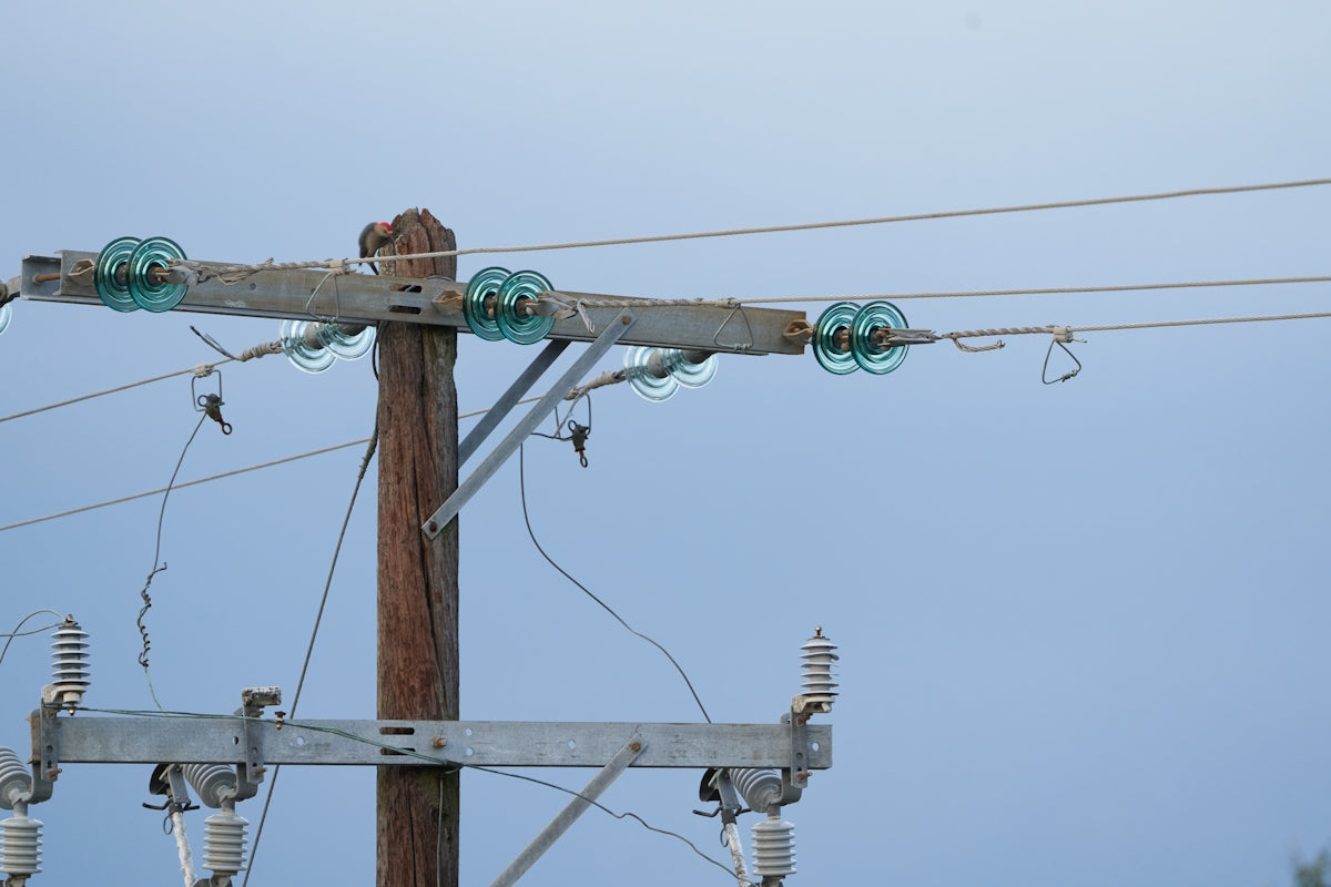 brown wooden electric post under blue sky during daytime