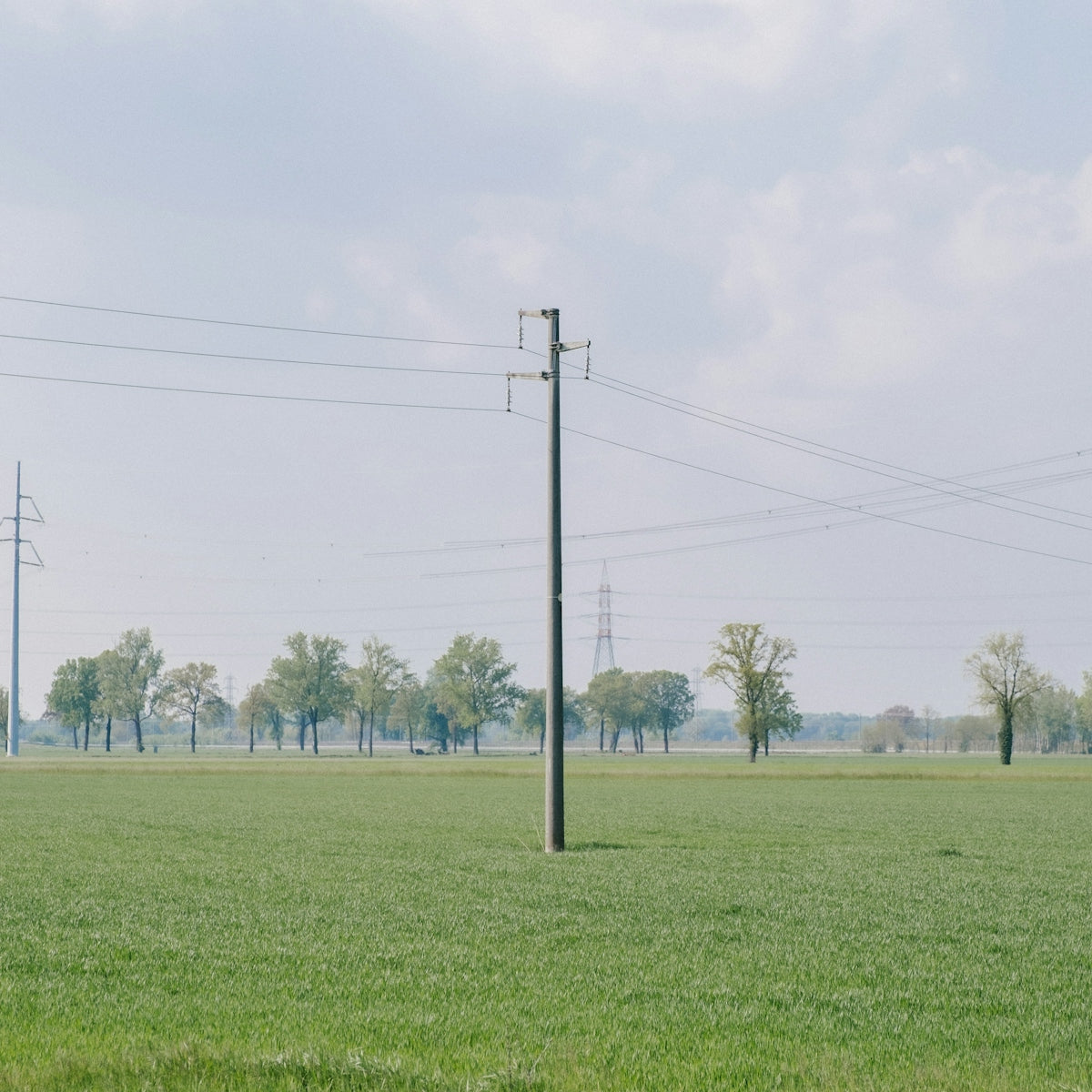green grass field with trees under white sky during daytime