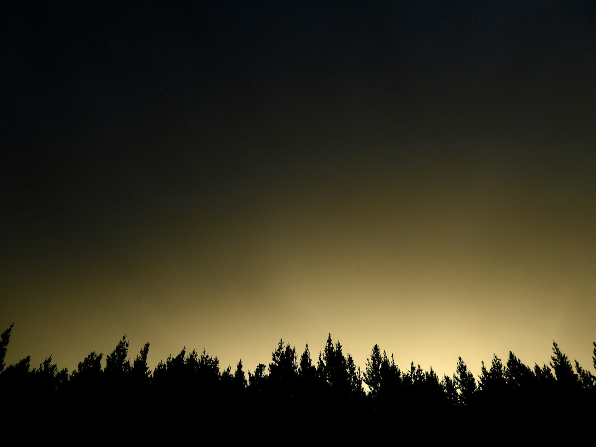 the sun is setting behind the silhouette of trees