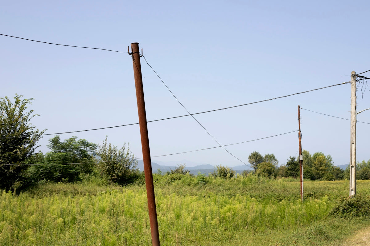a field of grass and telephone poles