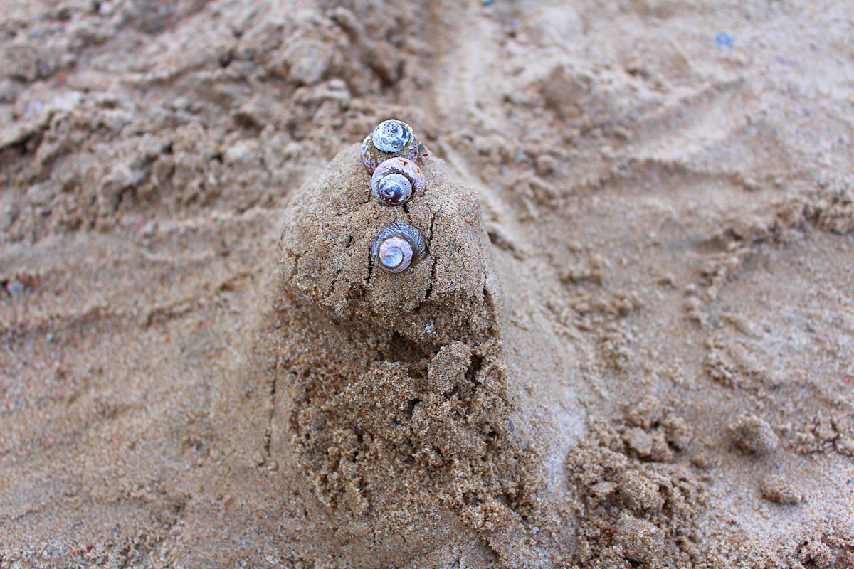 a close up of a rock in the sand