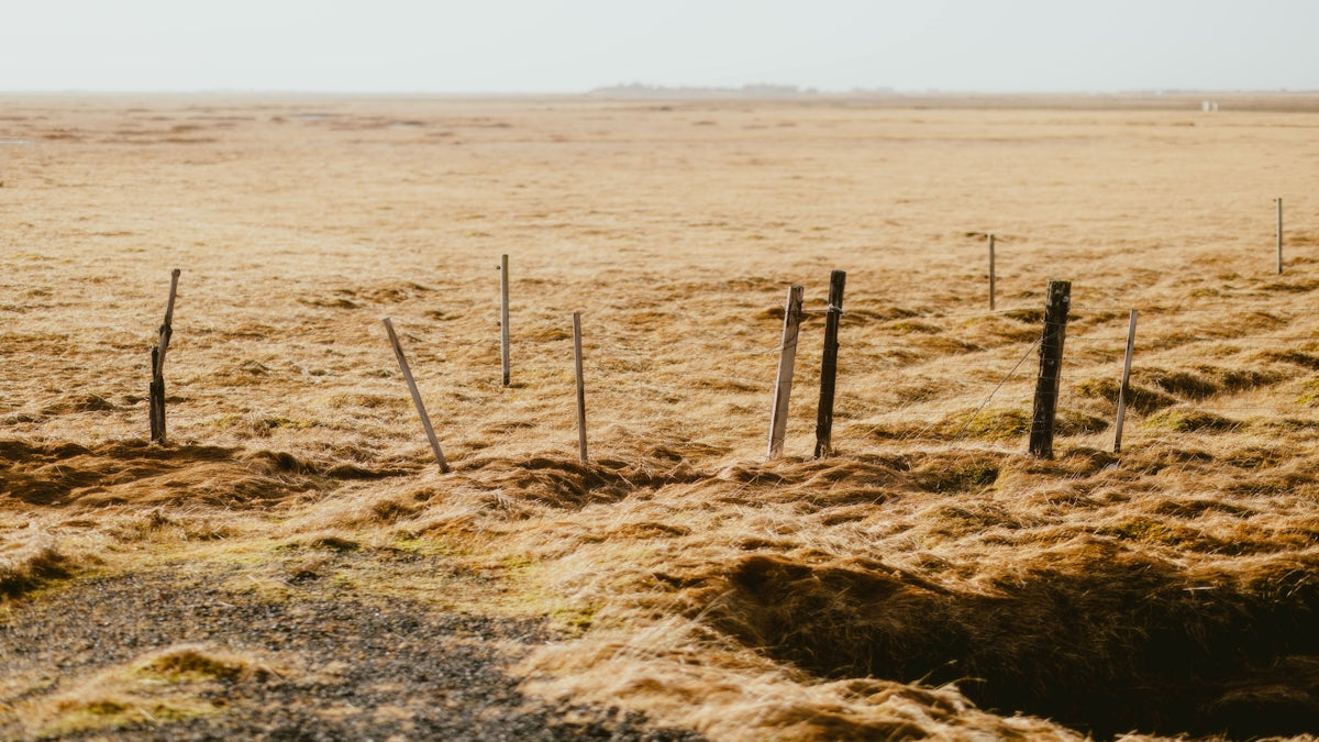 Wooden fence posts in a dry, open field.