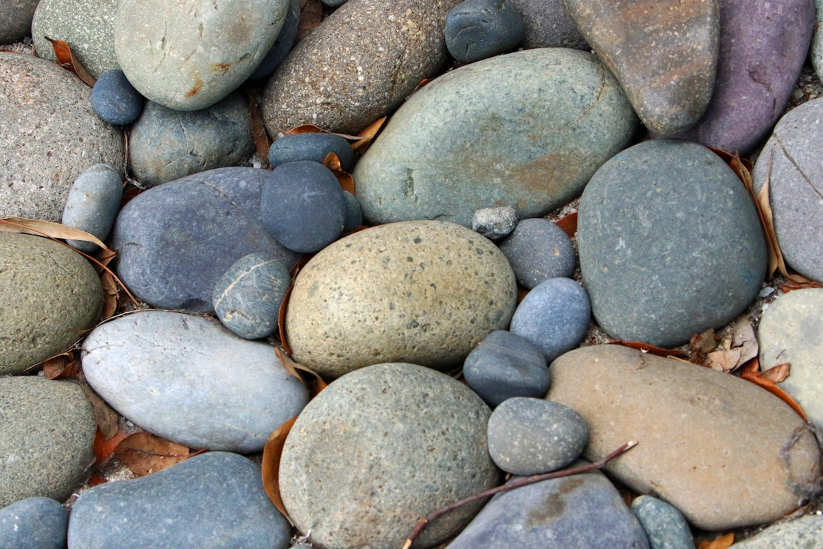 Smooth, colorful river rocks with fallen leaves.