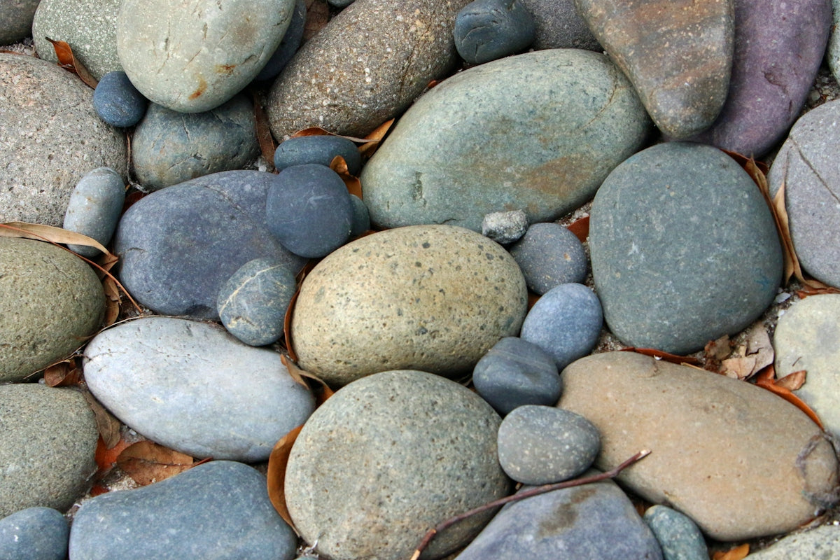 Smooth, colorful river rocks with fallen leaves