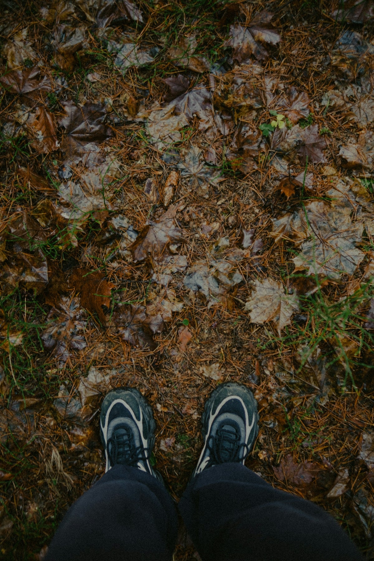 Feet standing on a path covered with leaves.