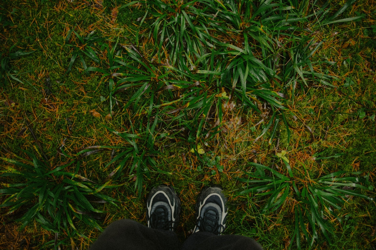 Pair of feet standing on green grass