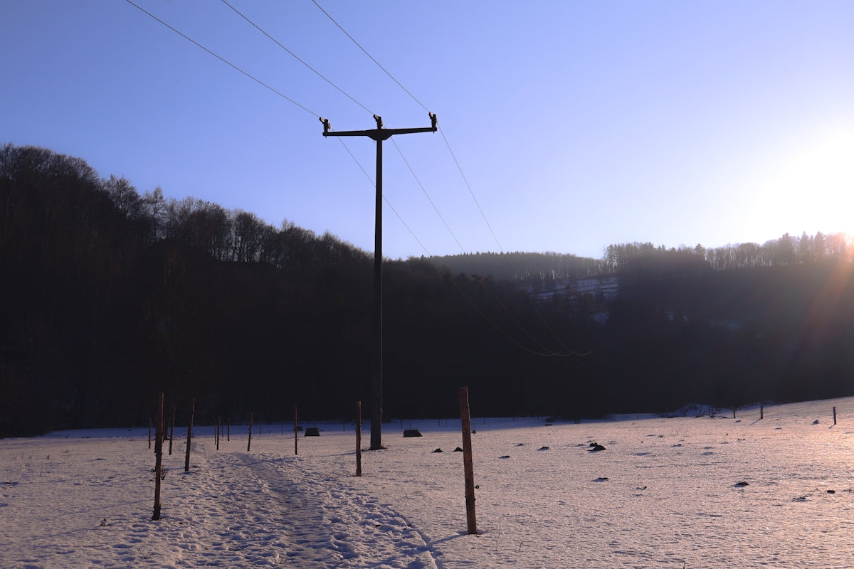 Telephone pole in a snowy field at sunset