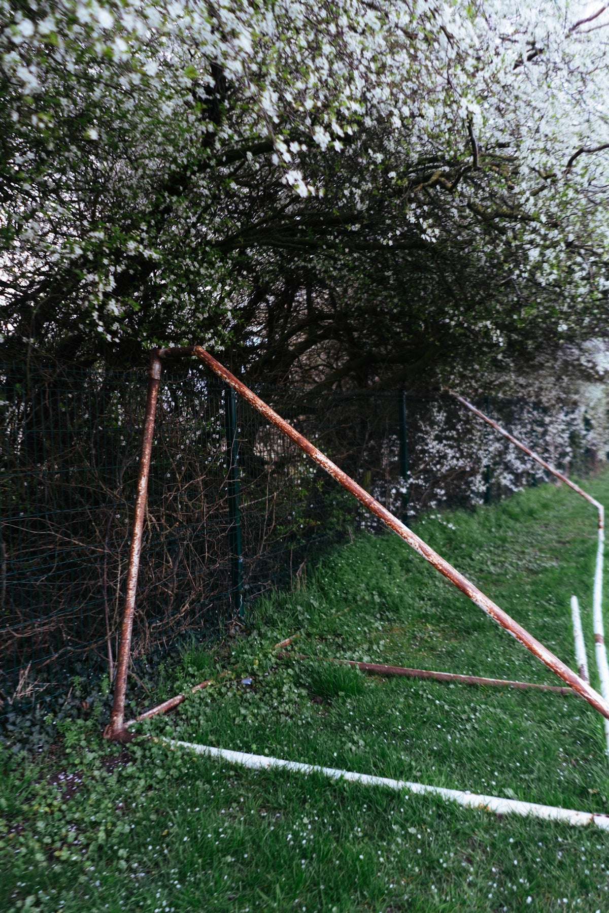 Rusty metal poles in a grassy field with trees.