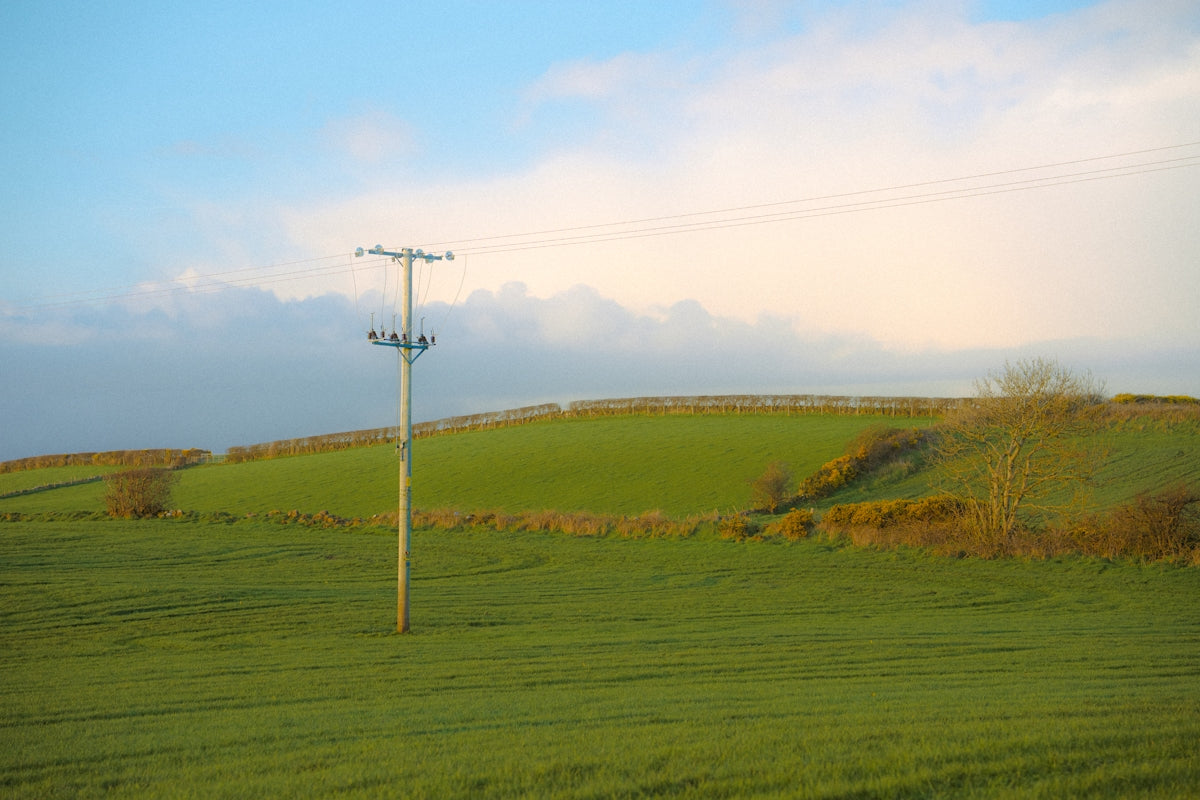 A lone telephone pole stands in a green field.