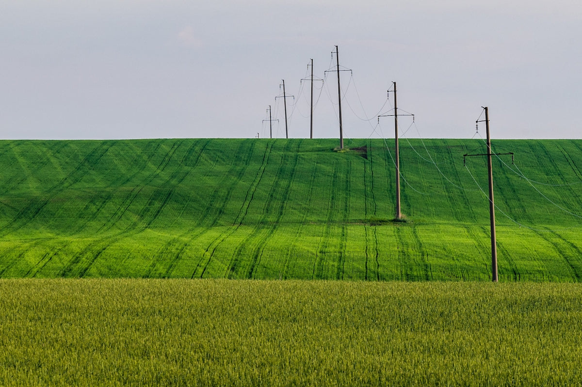 Power lines stretch across a vibrant green, rolling field.
