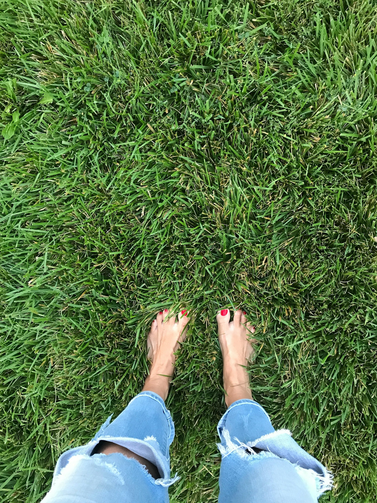 Bare feet with red nail polish on green lawn
