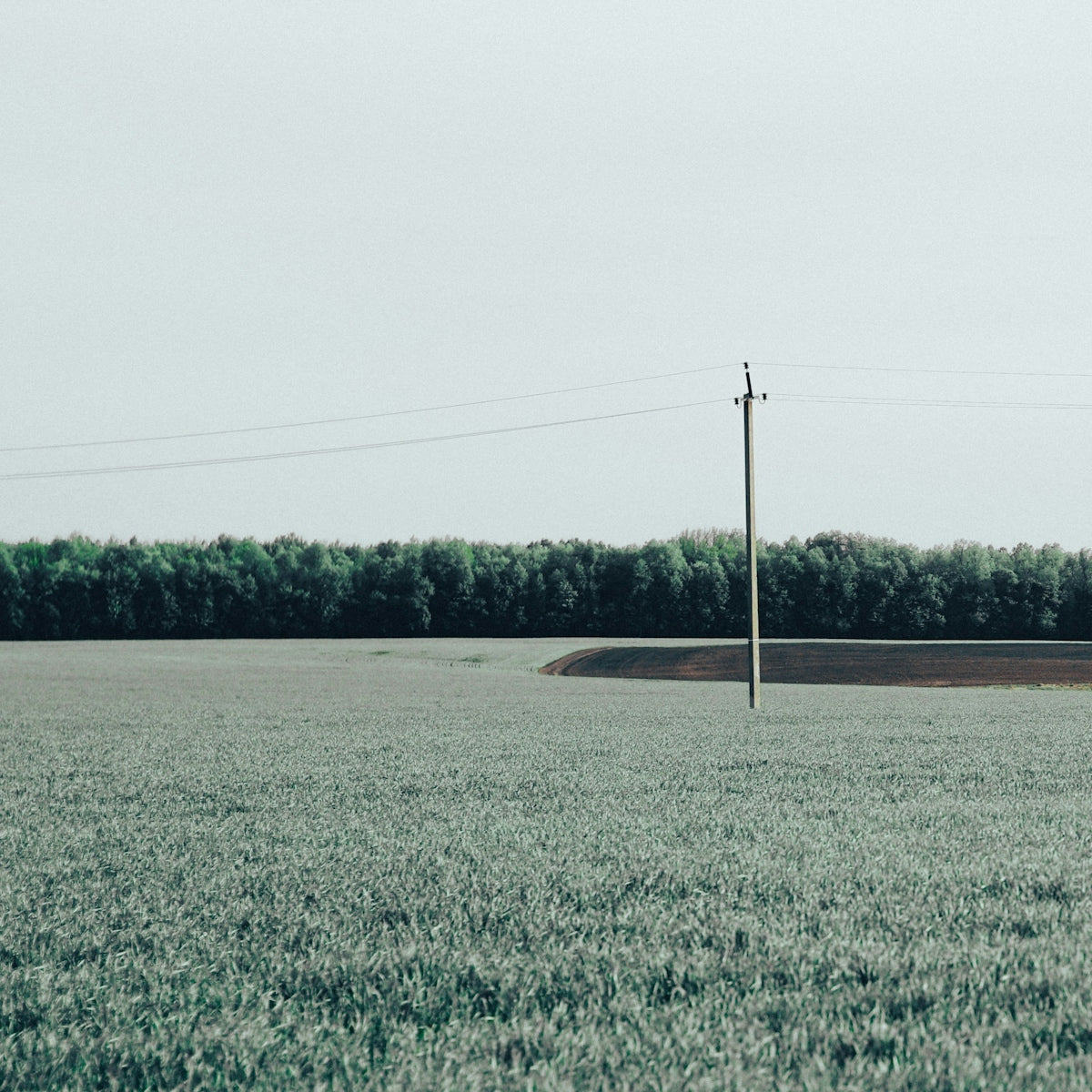 Green field with a single utility pole and distant trees.