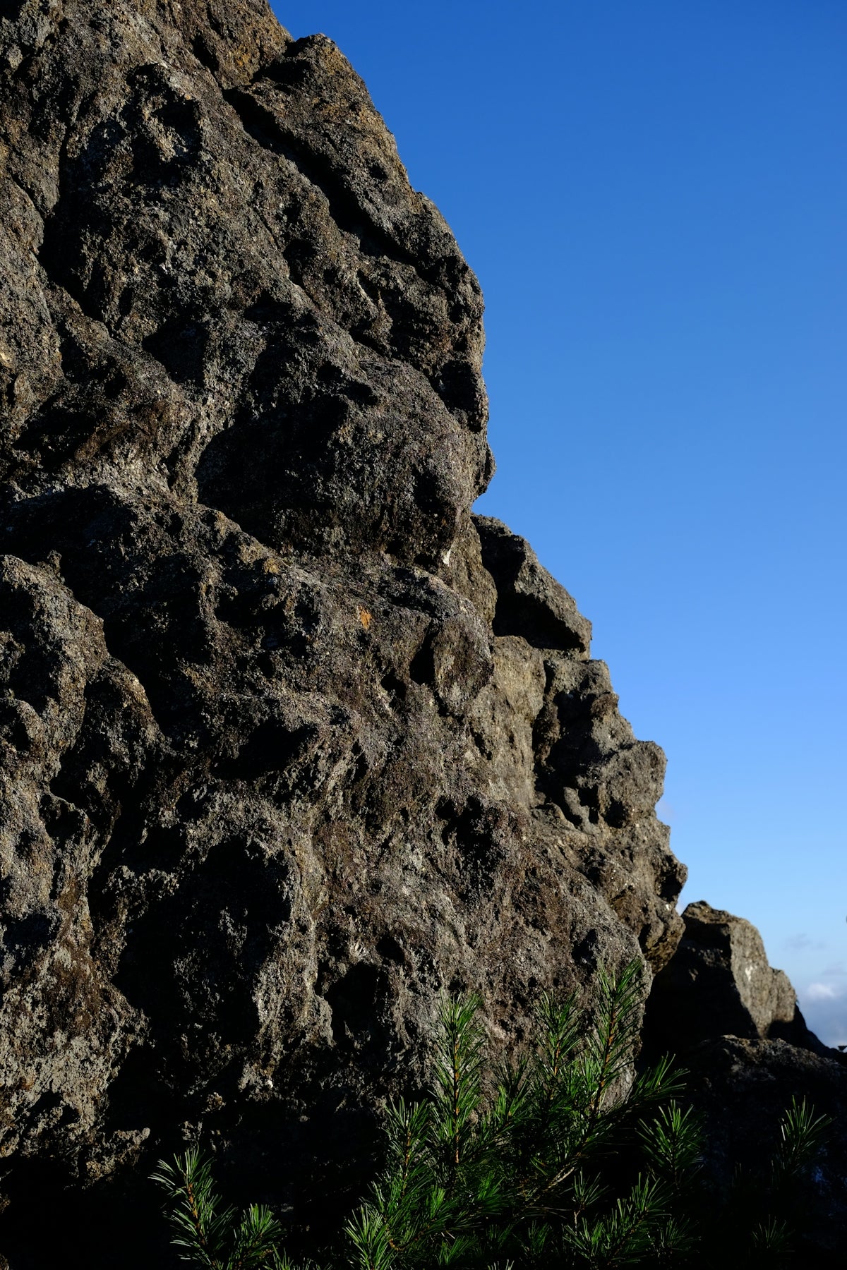 A jagged dark rock formation against a clear blue sky with pine needles
